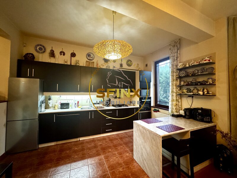 Erou Iancu Nicolae  Casa 6 Camere, gradina spectaculoasa,