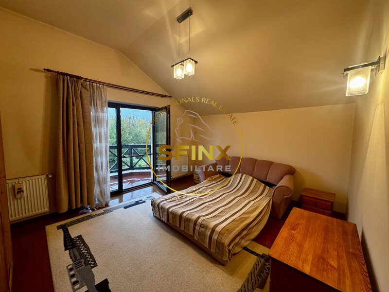 Erou Iancu Nicolae  Casa 6 Camere, gradina spectaculoasa,