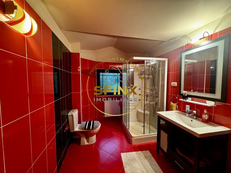 Erou Iancu Nicolae  Casa 6 Camere, gradina spectaculoasa,