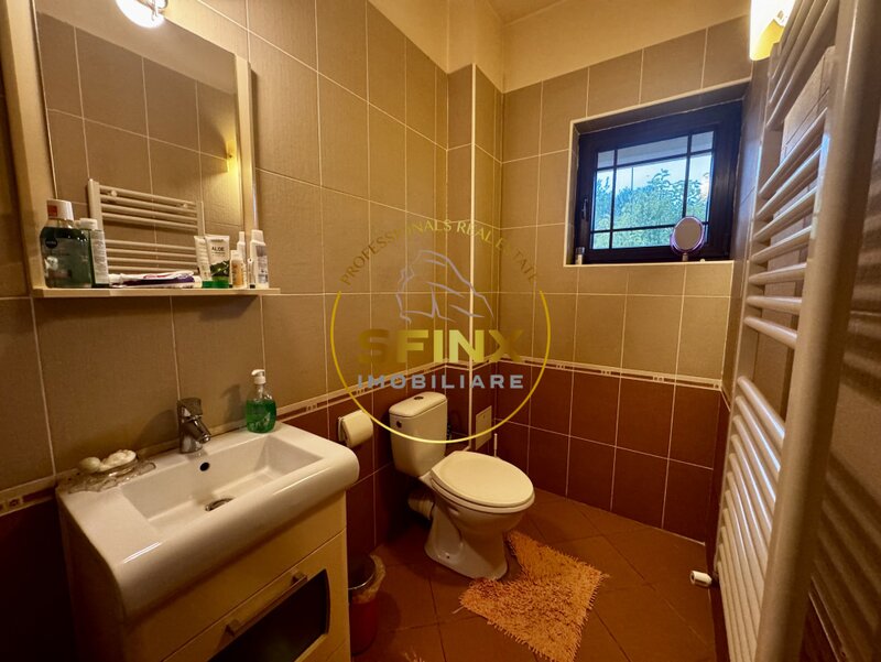 Erou Iancu Nicolae  Casa 6 Camere, gradina spectaculoasa,